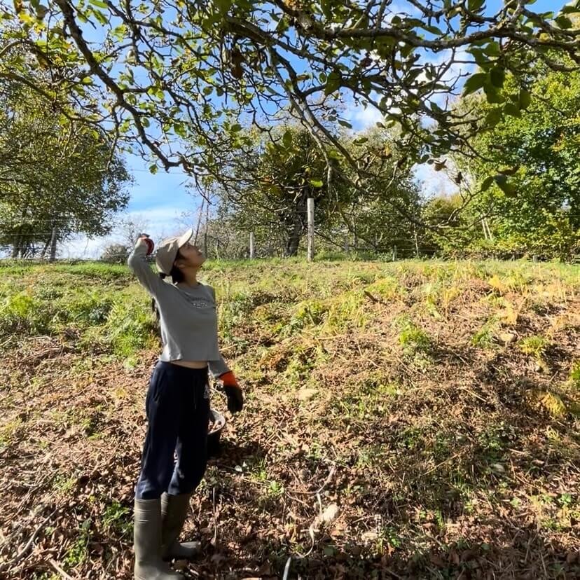 workaway volunteering at a farm