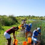 Eco program volunteering