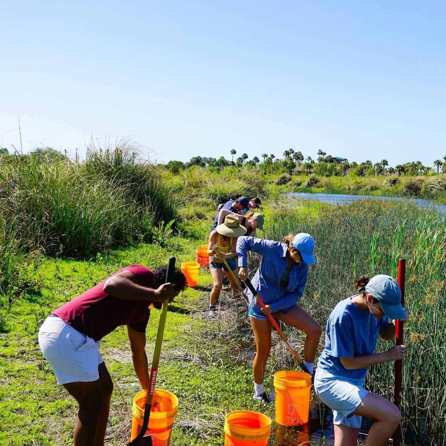 Eco program volunteering